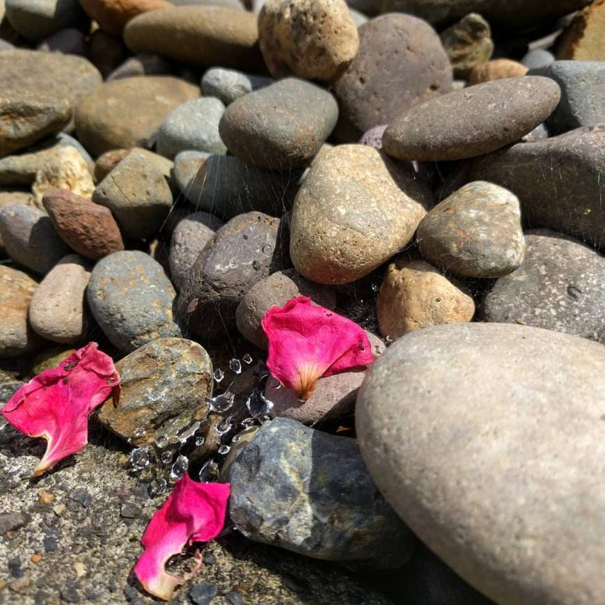 13482949_10154294294659596_650955848881338677_o