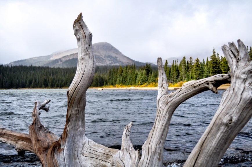 2016-ShutupandDrive-LP-1 copy