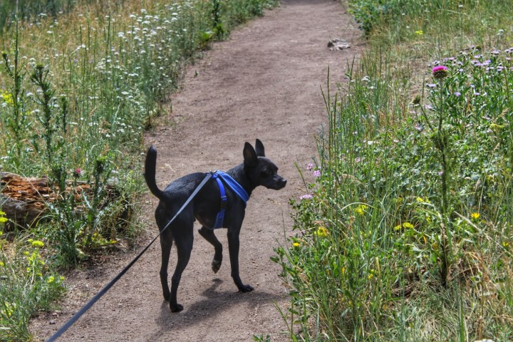 20180714110217_IMG_3030-01