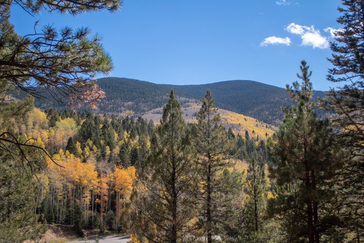 AutumnAdventures_withB&amp;N-4