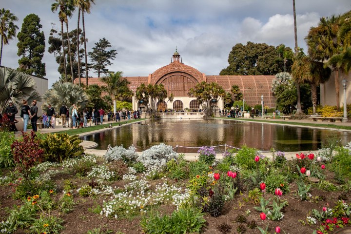 Facing the pond and gardens of Balboa Park.