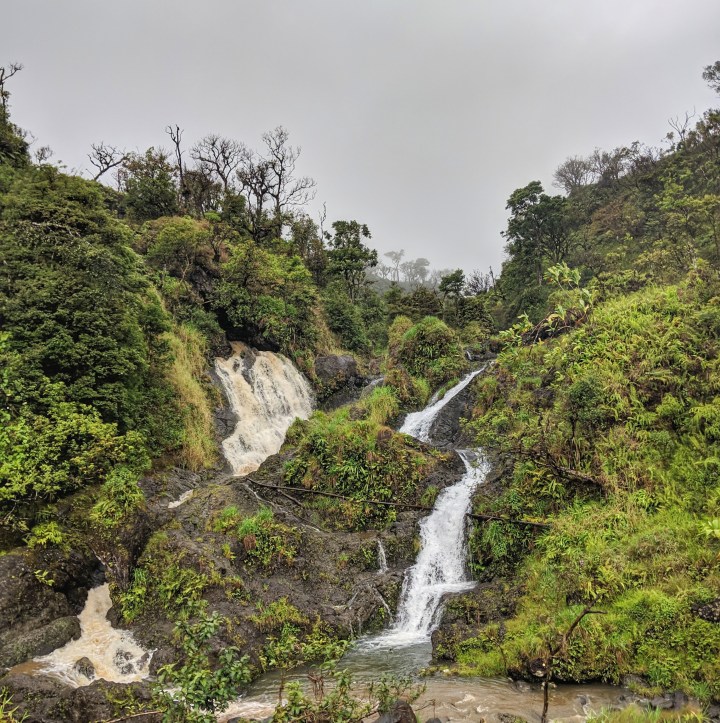 IMG_20190502_102700-01