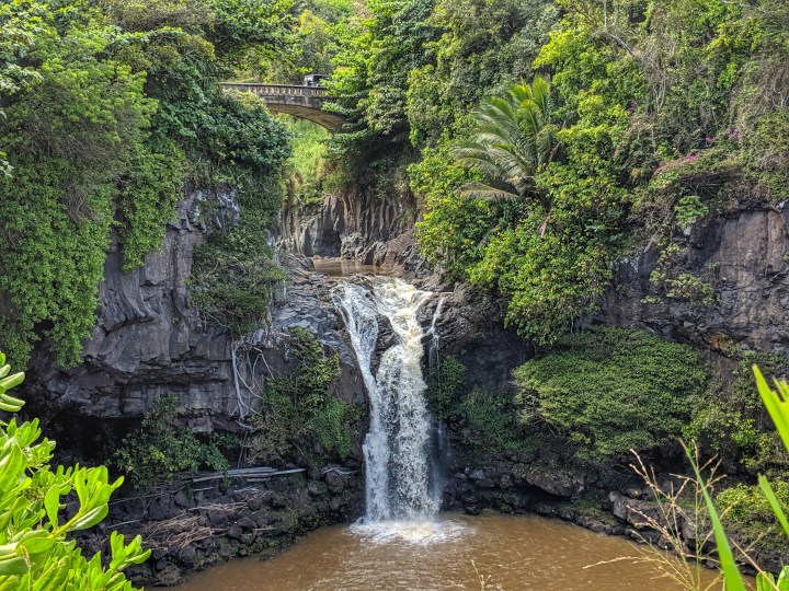 IMG_20190502_144110-01