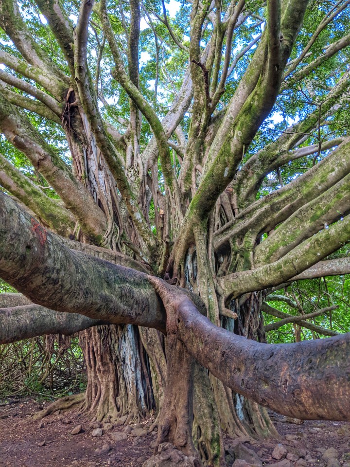 IMG_20190502_151153-01