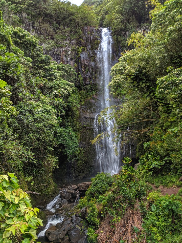 IMG_20190502_171204-01